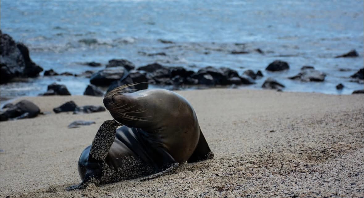Galapagos Islands travel photo 1